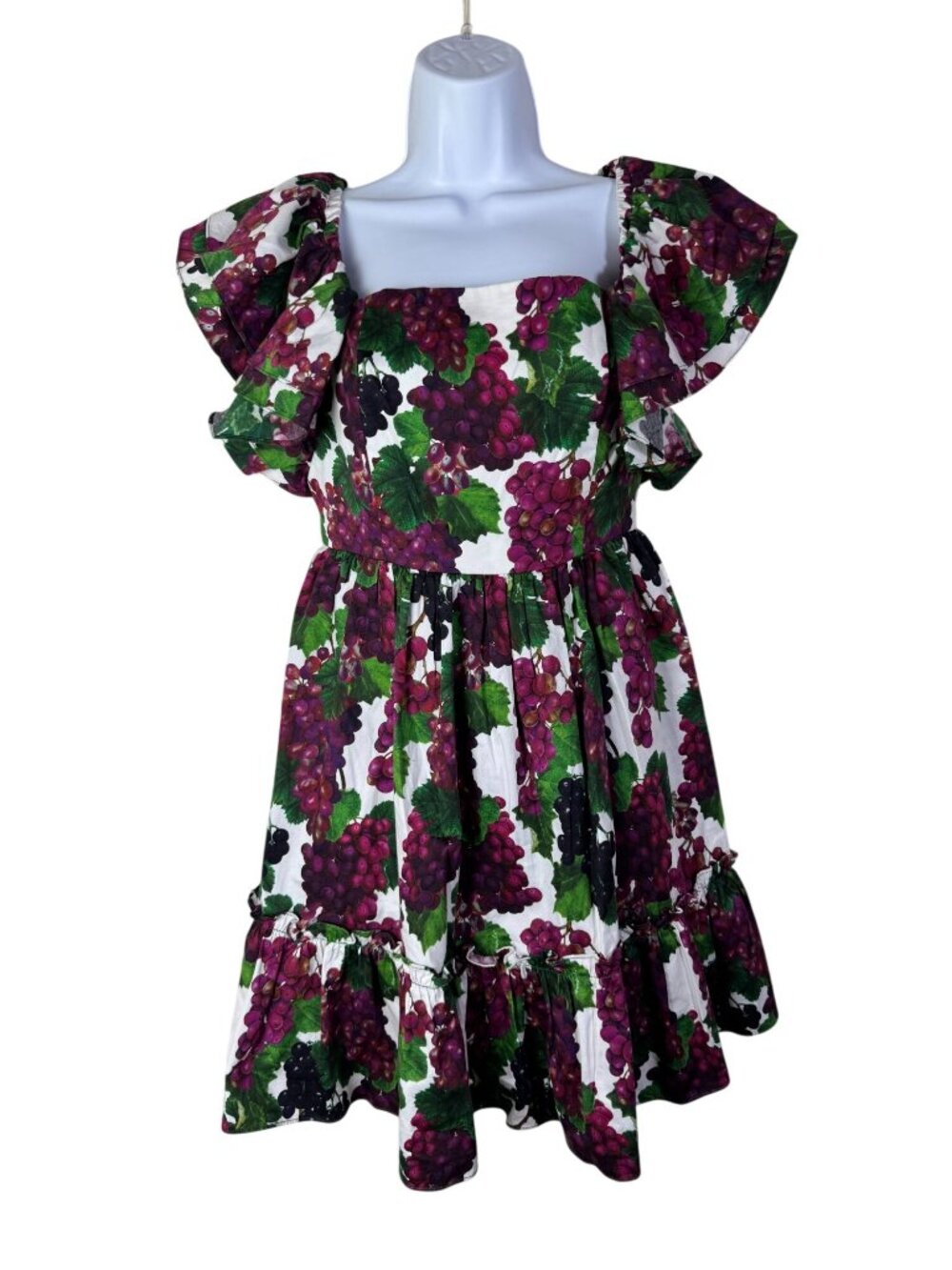 Lyn Around Grape Print Ruffle Sleeve Cotton Mini Dress sz Medium Smocked Novelty
